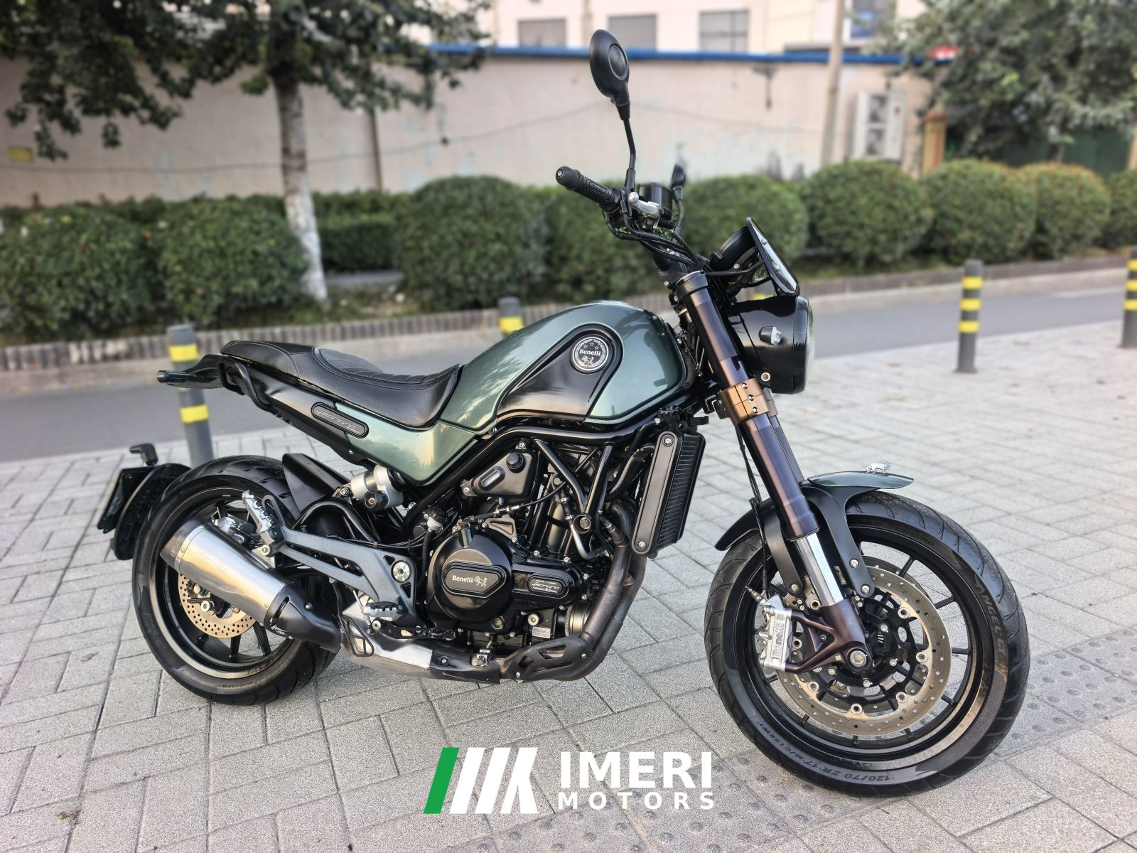 2022 Benelli Lion Cub Leoncino 500