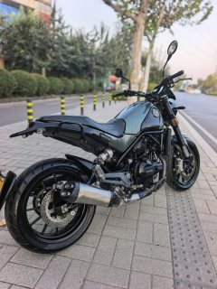 Benelli Lion Cub Leoncino 500 - photo 8