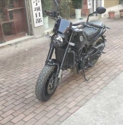 Benelli Lion Cub Leoncino 500 - ფოტო 2