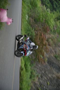 QJMOTOR SRK 450 - photo 3