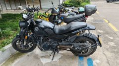 Benelli Lion Cub Leoncino 500 - фото 1