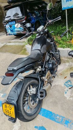 Benelli Lion Cub Leoncino 500 - фото 2