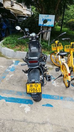 Benelli Lion Cub Leoncino 500 - фото 3