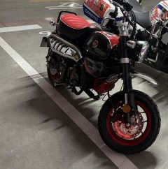 Stoner Monkey 125 cc - ფოტო 2