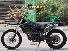 Xinguizun ZH250GY - фото 4