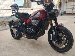Benelli Lion Cub Leoncino 500 - ფოტო 1
