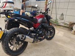 Benelli Lion Cub Leoncino 500 - ფოტო 3
