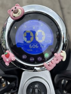 Stoner Monkey 125 Sidecar - ფოტო 9
