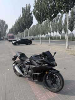 Haojue Suzuki GSX250R - photo 4