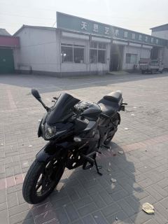 Haojue Suzuki GSX250R - photo 5