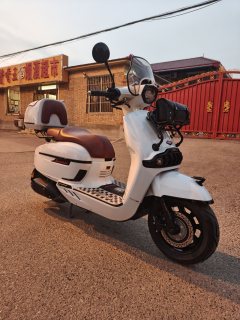 Weiduoliya Sixties 150Si - photo 1