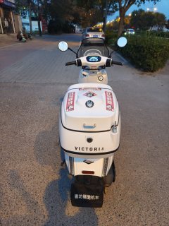 Weiduoliya Sixties 150Si - photo 8