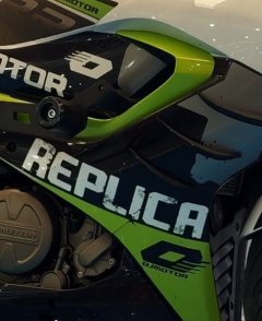 QJMOTOR SRK 250 - photo 3