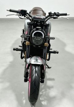Benelli Young Lion Leoncino 250 - ფოტო 2