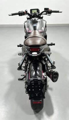 Benelli Young Lion Leoncino 250 - ფოტო 8