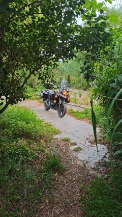 Haojue Suzuki DL250 - фото 2