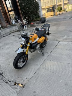 Stoner Monkey 125 Cross - ფოტო 3