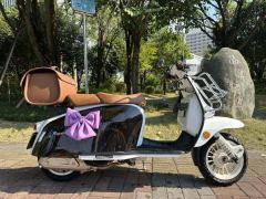 ROYAL ALLOY GP150 - ფოტო 1