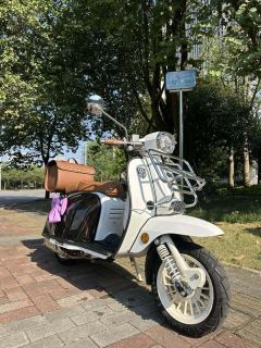 ROYAL ALLOY GP150 - ფოტო 2