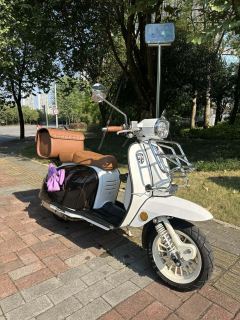 ROYAL ALLOY GP150 - ფოტო 7