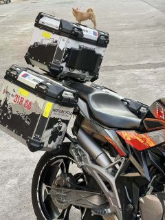 Zontes 310T - ფოტო 2