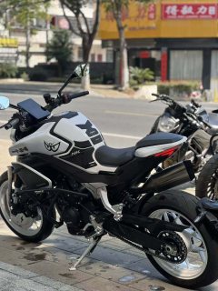 CFMOTO 800NK - ფოტო 4