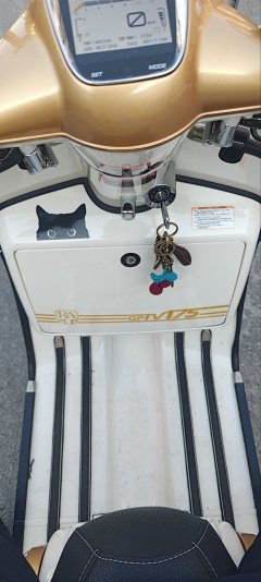 ROYAL ALLOY TV175(imported) 150 cc - ფოტო 5