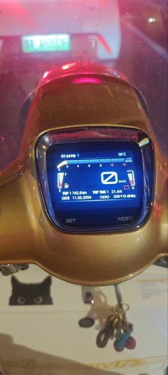 ROYAL ALLOY TV175(imported) 150 cc - ფოტო 6
