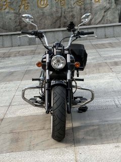 Indian Scout 1133 cc - ფოტო 4