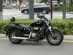 Benda Polestones 03 Gray 300 cc - ფოტო 1