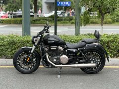 Benda Polestones 03 Gray 300 cc - ფოტო 5