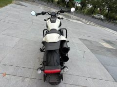 Harley-Davidson Sportster S 1250 cc - фото 5