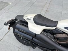 Harley-Davidson Sportster S 1250 cc - фото 6