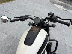 Harley-Davidson Sportster S 1250 cc - фото 8