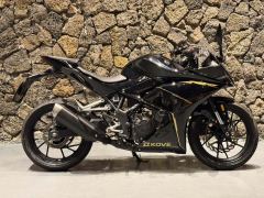 Kayo 250RR Thornbird - ფოტო 2