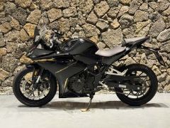 Kayo 250RR Thornbird - ფოტო 3