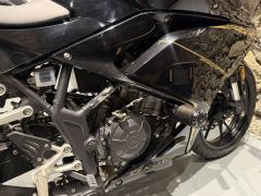 Kayo 250RR Thornbird - ფოტო 6