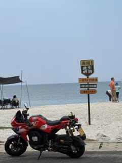 QJMOTOR 150 cc - ფოტო 2