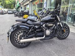 Benda Polestones 03 Gray 300 cc - photo 5