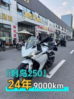 Kayo 250RR Thornbird - ფოტო 1