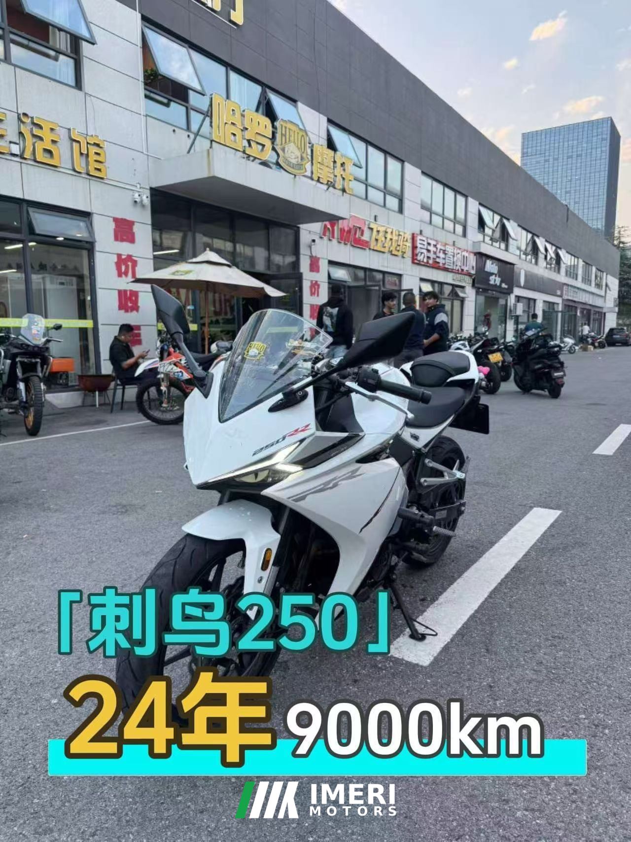 2024 Kayo 250RR Thornbird