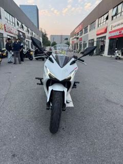 Kayo 250RR Thornbird - ფოტო 2