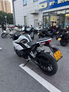 Kayo 250RR Thornbird - ფოტო 9