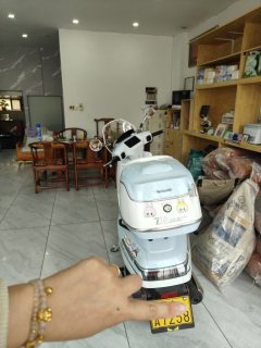 QJMOTOR Dino 150 cc - фото 2