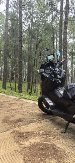 Yamaha XMAX 300 cc - фото 1