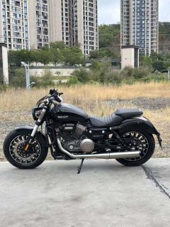 Benda Polestones 03 Gray 300 cc - photo 2