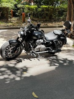 Benda Graystone 250 - ფოტო 1