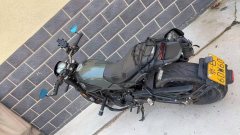 Benelli Lion Cub Leoncino 500 - ფოტო 3