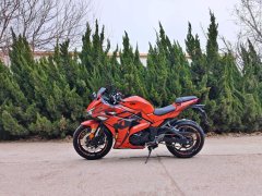 Nuoma Phantom 255S 250 cc - ფოტო 6