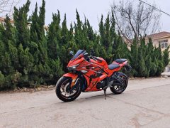 Nuoma Phantom 255S 250 cc - ფოტო 7